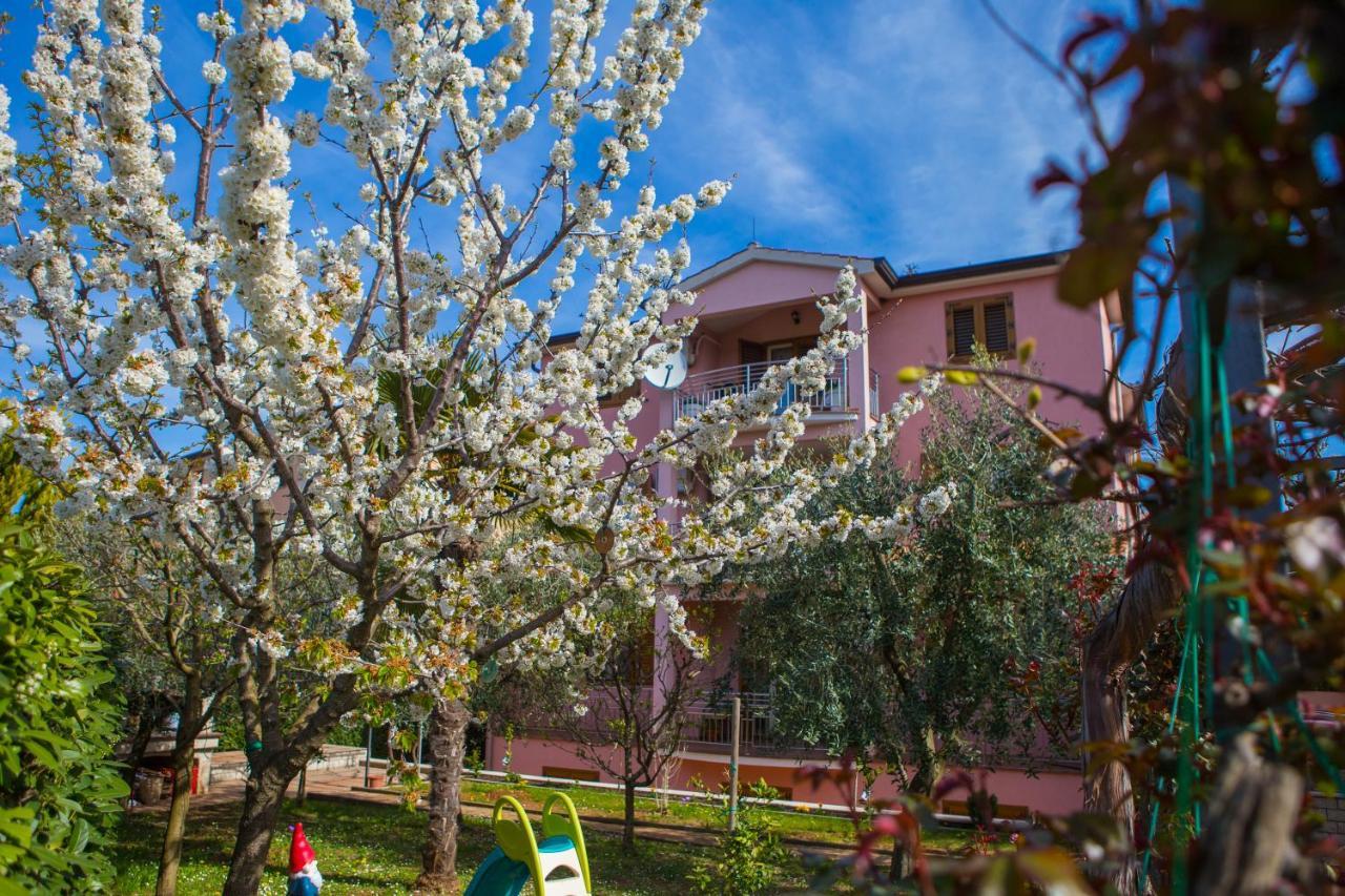 Lorena Apartment Porec